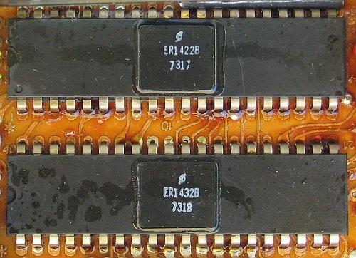 die CPU, bestehend aus zwei Chips mit je 40 Beinen